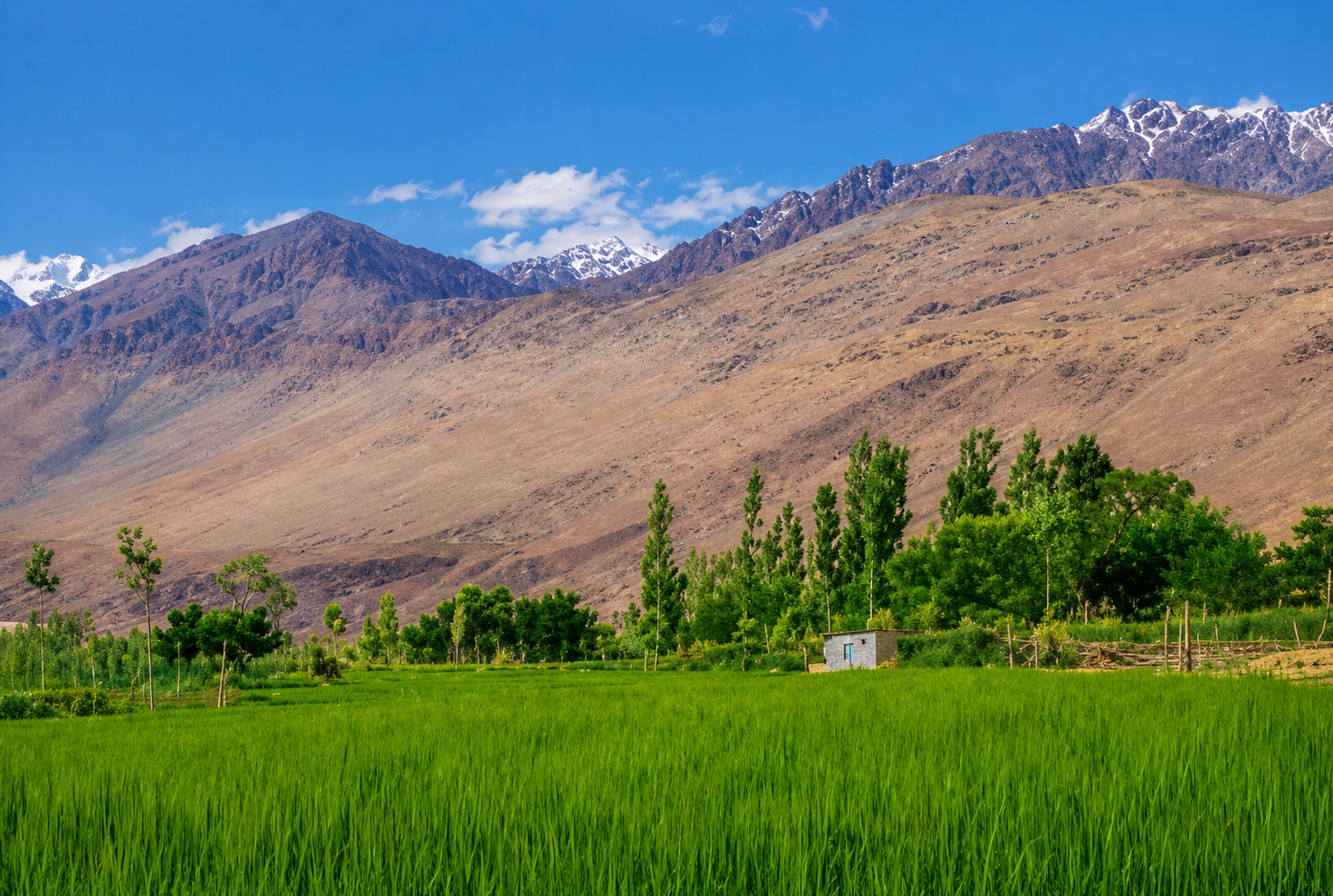 Agricultural Watershed